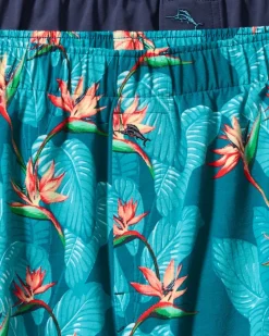 Tommy Bahama Big & Tall Tropical Print & Solid Knit Boxers—2-Pack Bright Teal Clearance