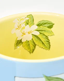 Tommy Bahama Disney Painting Minnie Stackable Mug Multicolor Best