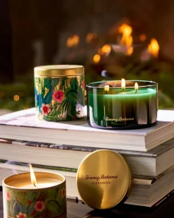 Tommy Bahama 14.5-oz. Boxed 3-Wick Candle Evergreen Outlet