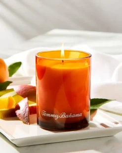Tommy Bahama 7.5-oz. Boxed Poured Candle Maui Mango Sale